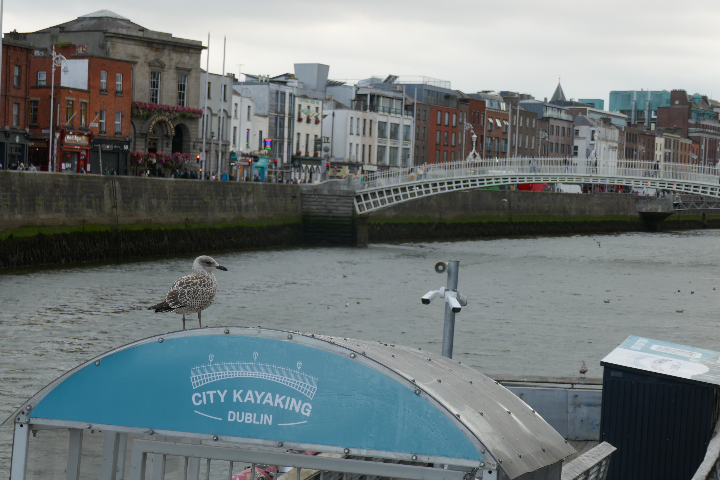 Dublin_Halfpenny Bridge